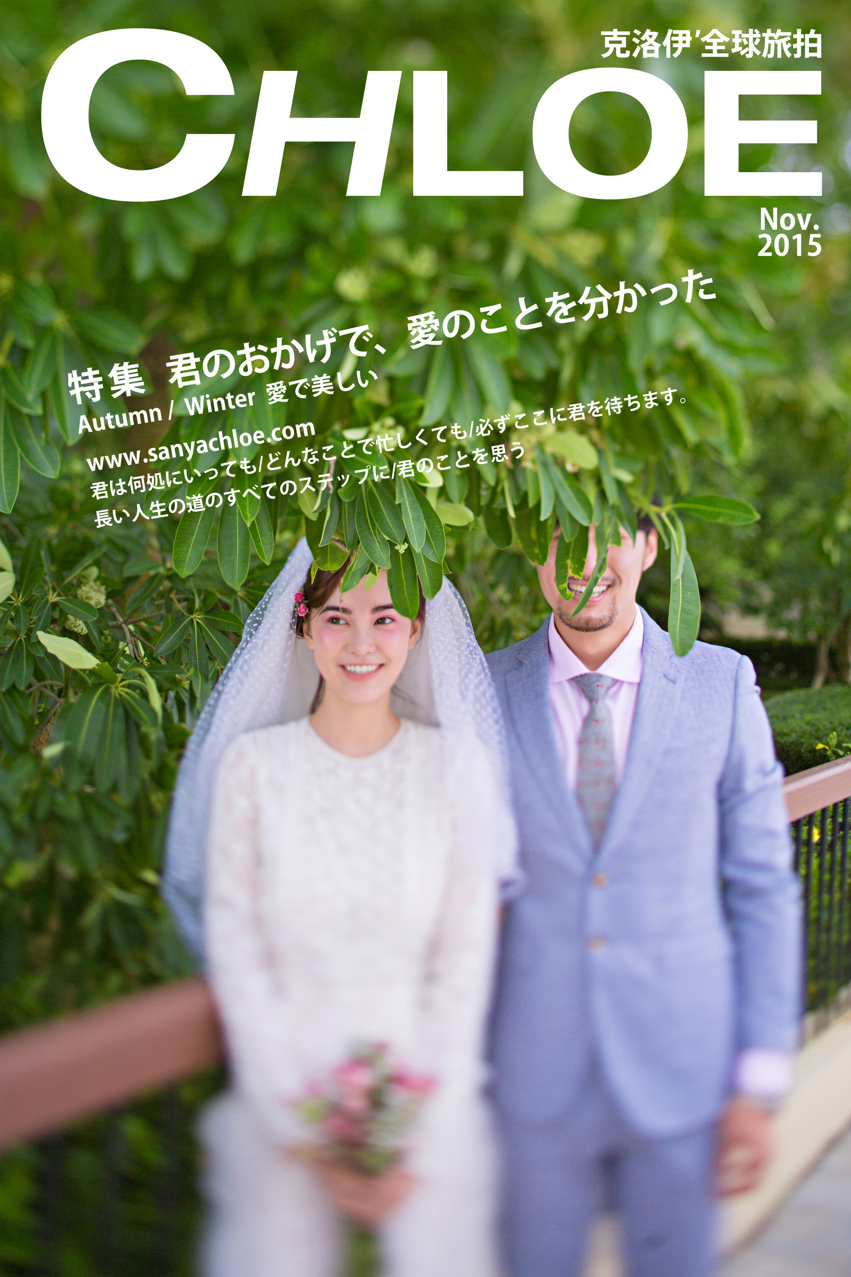 给我全世界的闪烁