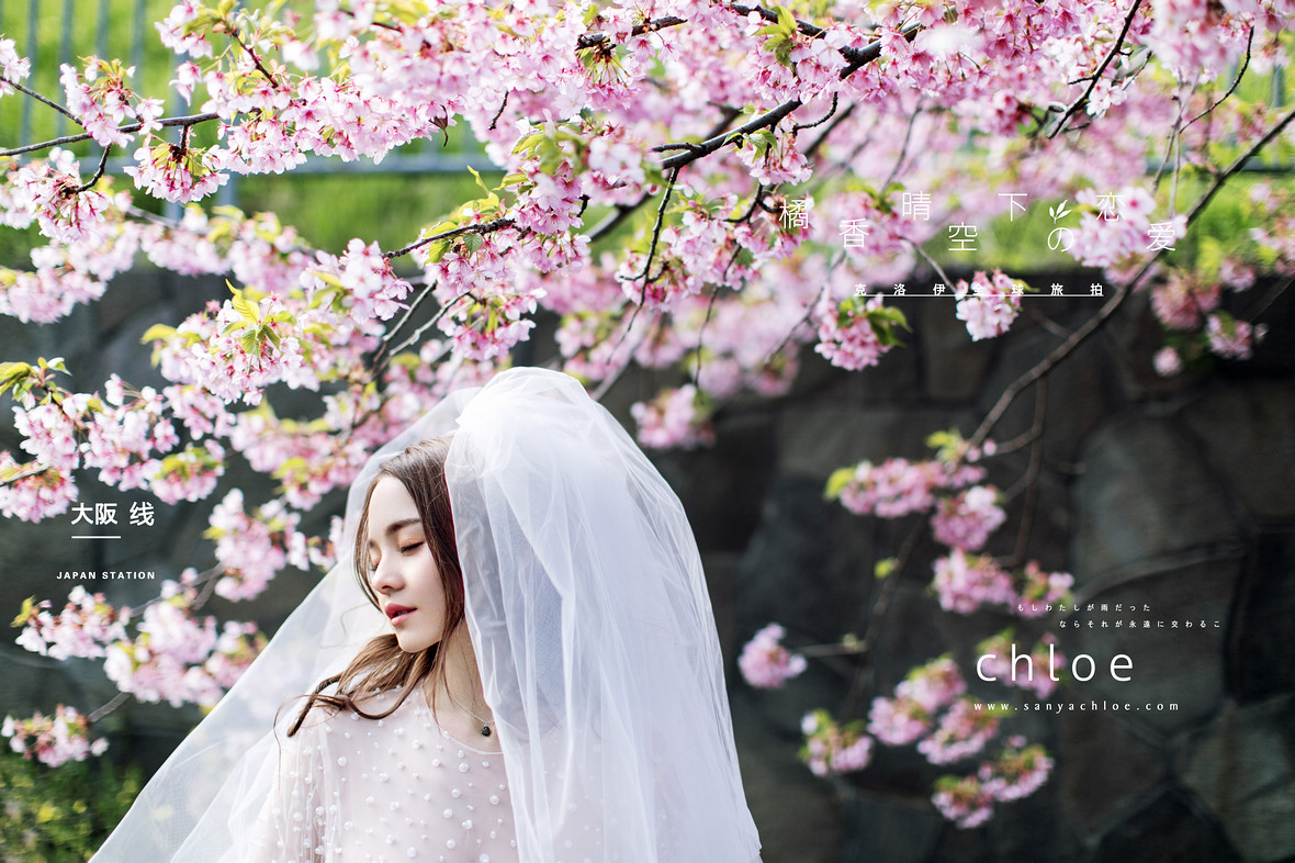 霓虹国的春，可以拍什么样的婚纱照？