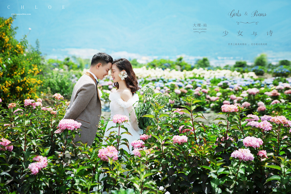 【揭秘克洛伊美学】116期 真实客户揭秘季节美景花海婚纱照