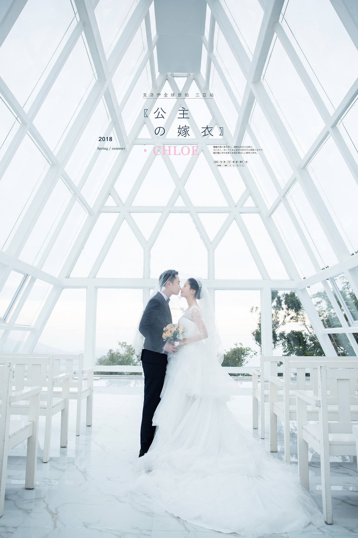 陶先生&马女士