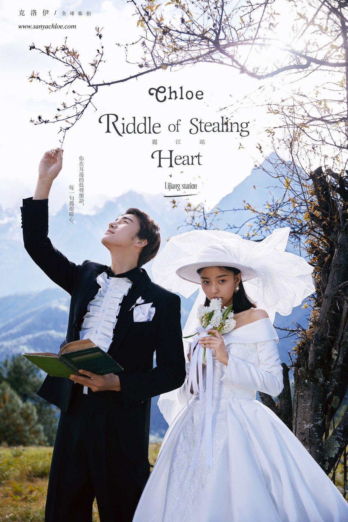 Riddle of Stealing Heart